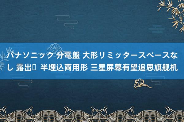 パナソニック 分電盤 大形リミッタースペースなし 露出・半埋込両用形 三星屏幕有望追思旗舰机