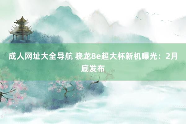 成人网址大全导航 骁龙8e超大杯新机曝光：2月底发布