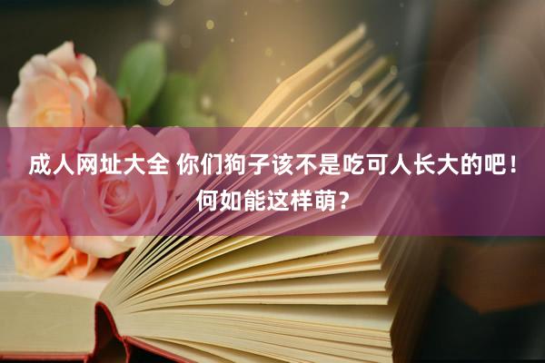 成人网址大全 你们狗子该不是吃可人长大的吧！何如能这样萌？