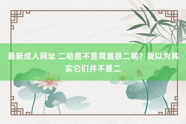 最新成人网址 二哈是不是简直很二呢？我以为其实它们并不是二