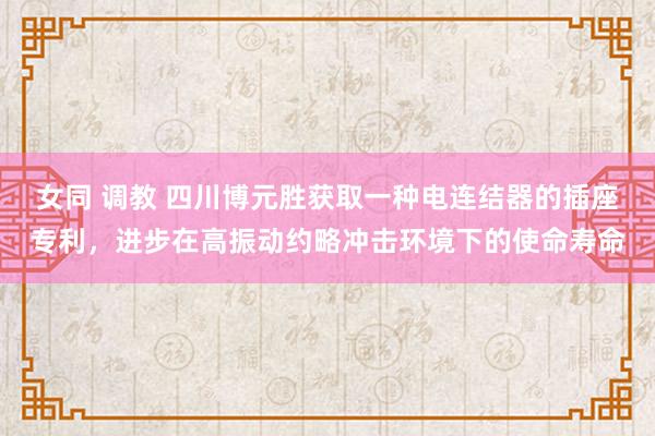 女同 调教 四川博元胜获取一种电连结器的插座专利，进步在高振动约略冲击环境下的使命寿命