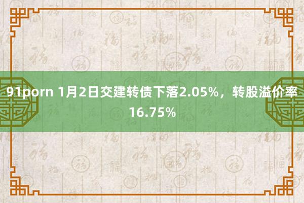 91porn 1月2日交建转债下落2.05%，转股溢价率16.75%