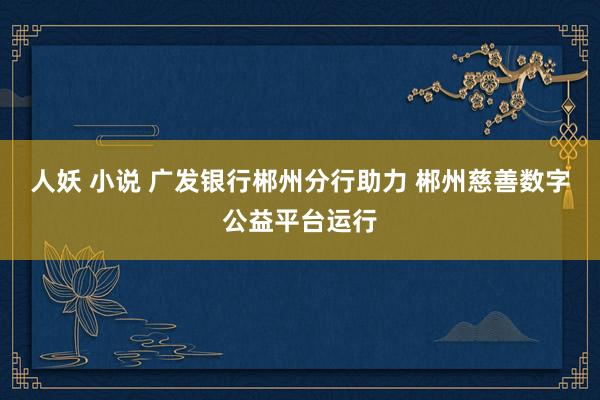 人妖 小说 广发银行郴州分行助力 郴州慈善数字公益平台运行