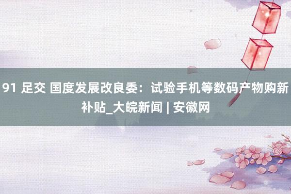 91 足交 国度发展改良委：试验手机等数码产物购新补贴_大皖新闻 | 安徽网