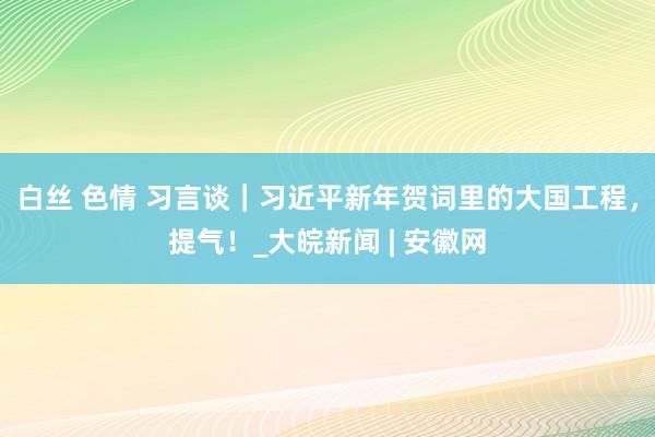 白丝 色情 习言谈｜习近平新年贺词里的大国工程，提气！_大皖新闻 | 安徽网