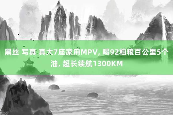 黑丝 写真 真大7座家用MPV， 喝92粗粮百公里5个油， 超长续航1300KM