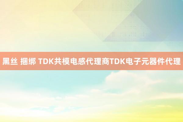 黑丝 捆绑 TDK共模电感代理商TDK电子元器件代理