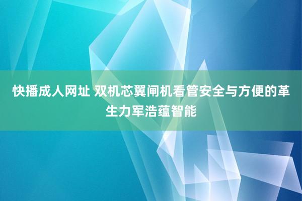 快播成人网址 双机芯翼闸机看管安全与方便的革生力军浩蕴智能