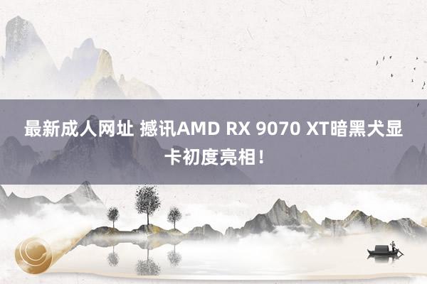 最新成人网址 撼讯AMD RX 9070 XT暗黑犬显卡初度亮相！