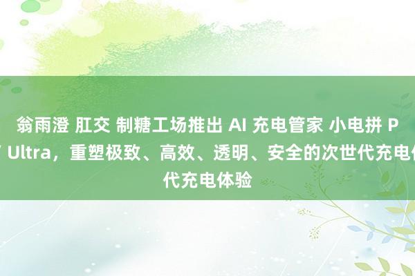 翁雨澄 肛交 制糖工场推出 AI 充电管家 小电拼 Pro / Ultra，重塑极致、高效、透明、安全的次世代充电体验