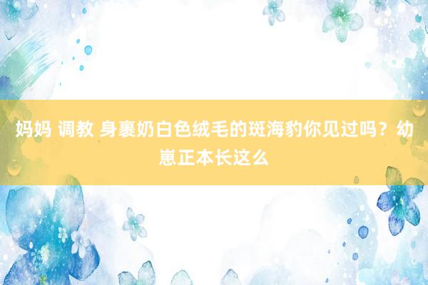 妈妈 调教 身裹奶白色绒毛的斑海豹你见过吗？幼崽正本长这么