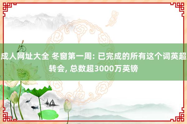 成人网址大全 冬窗第一周: 已完成的所有这个词英超转会， 总数超3000万英镑