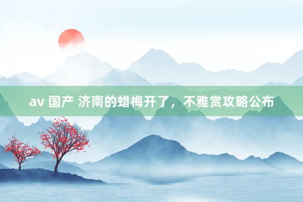 av 国产 济南的蜡梅开了，不雅赏攻略公布