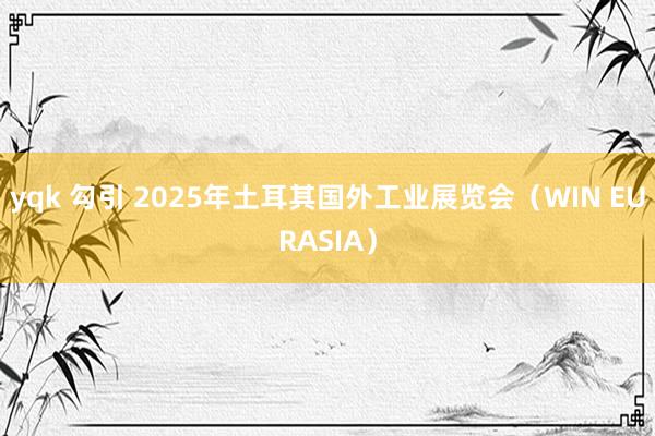 yqk 勾引 2025年土耳其国外工业展览会（WIN EURASIA）