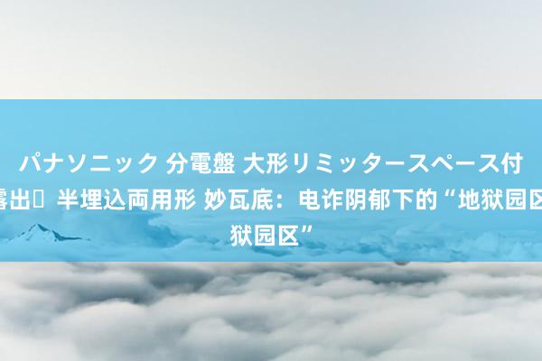 パナソニック 分電盤 大形リミッタースペース付 露出・半埋込両用形 妙瓦底：电诈阴郁下的“地狱园区”