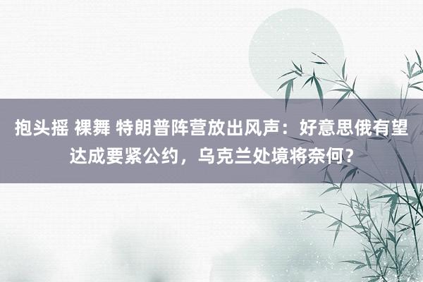 抱头摇 裸舞 特朗普阵营放出风声：好意思俄有望达成要紧公约，乌克兰处境将奈何？