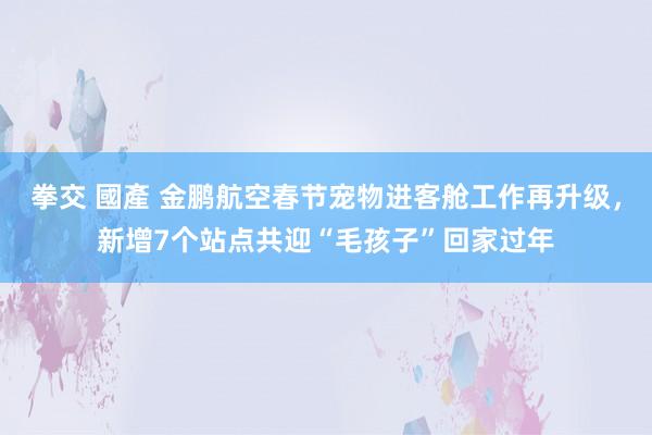 拳交 國產 金鹏航空春节宠物进客舱工作再升级，新增7个站点共迎“毛孩子”回家过年