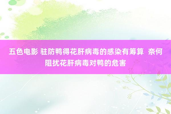 五色电影 驻防鸭得花肝病毒的感染有筹算  奈何阻扰花肝病毒对鸭的危害